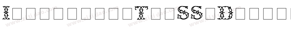 IlluminatiTwoSSiDisplayCaps Medium字体转换